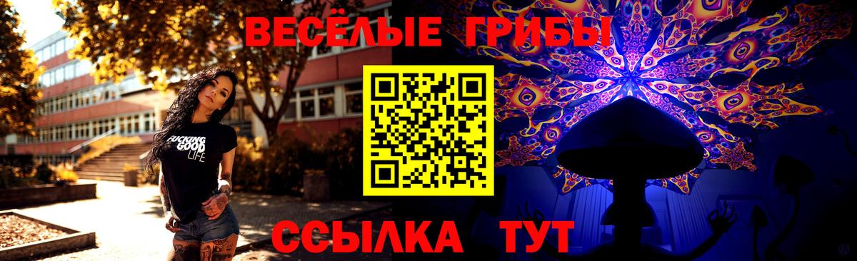 Псилоцибиновые грибы Cubensis  Вход с VPN  Анапа 